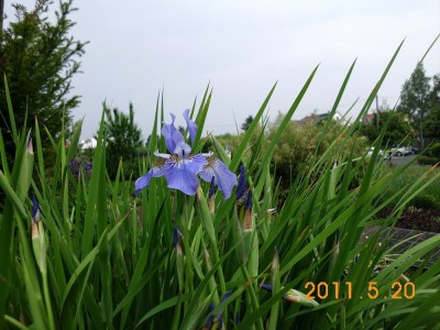 DSCI0288.JPG