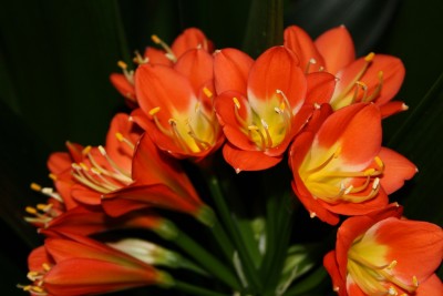 23.05.11 - 1.jpg