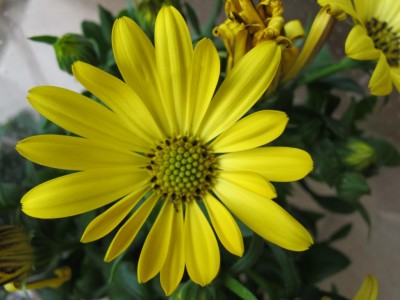24.05.11 032.JPG