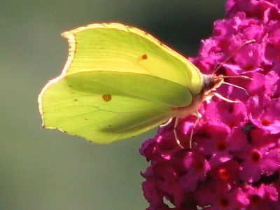 IMG_1570.JPG