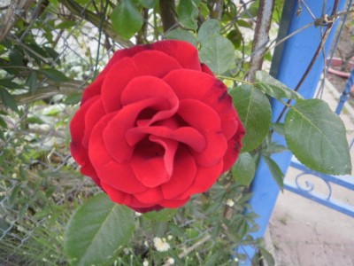 Bild 683.jpg
