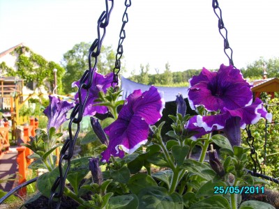 PICT2093.JPG