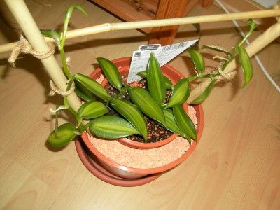 SANY0276.JPG