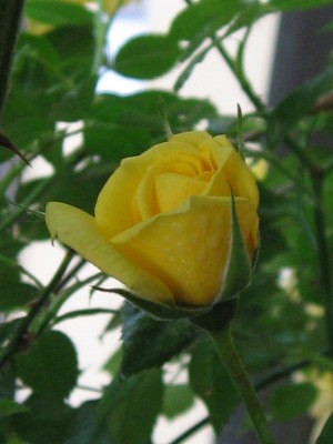 IMG_1400.JPG