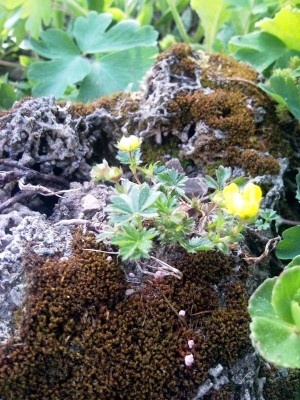 SNC00047_1.jpg