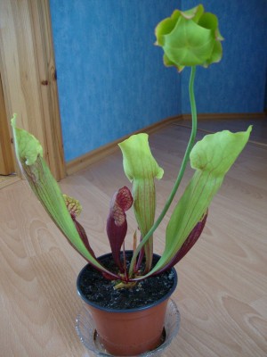 Bilder 097.JPG