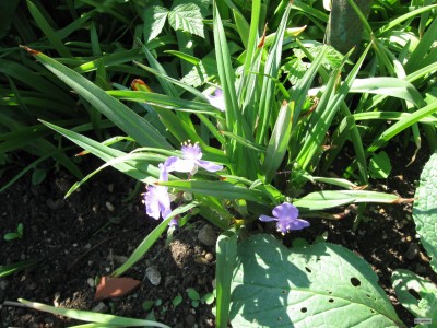 IMG_5614.JPG