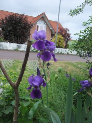 DSCF6721.JPG