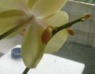 29052011033.jpg