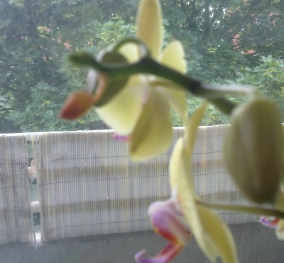 29052011034.jpg