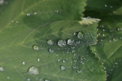 27.5  (8) (2000x1328).jpg
