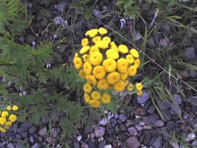 4.30_07_07.jpg