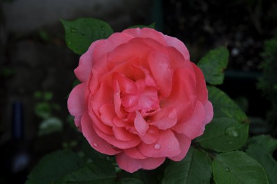 27.5  (10) (2000x1328).jpg