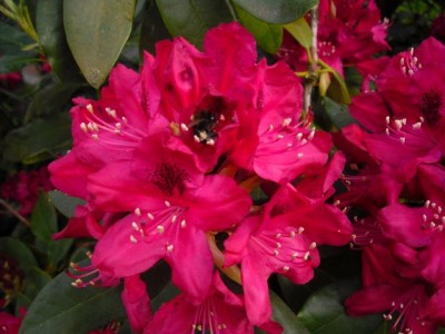 K640_CIMG0053.JPG