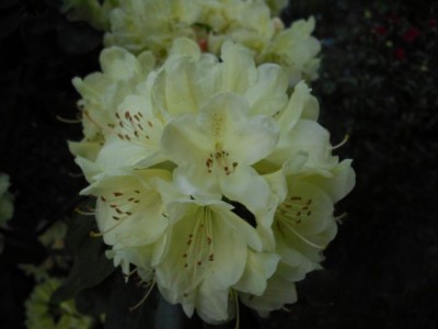 K640_CIMG0015.JPG