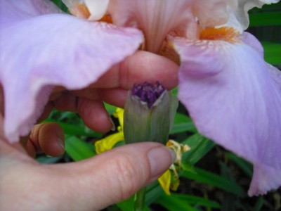 K640_CIMG0088.JPG