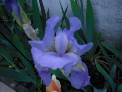 K640_CIMG0048.JPG