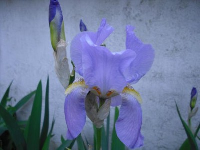 K640_CIMG0049.JPG