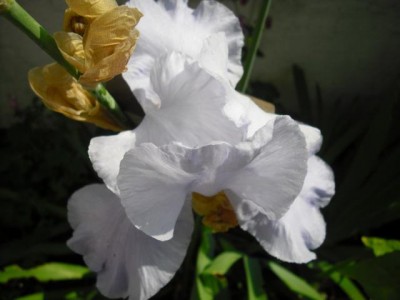 K640_K640_CIMG0082.JPG