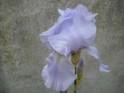 K640_CIMG0058.JPG