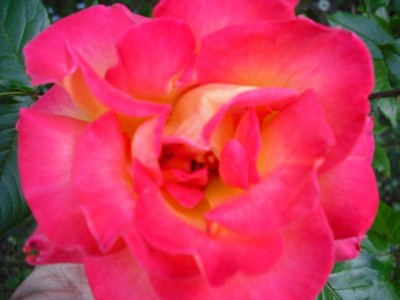 K640_CIMG0080.JPG