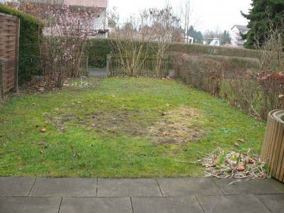 Hinten vorher 010_klein.jpg