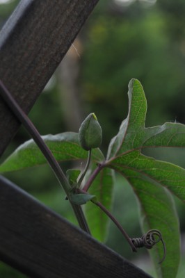 24.5 (24) (1328x2000).jpg