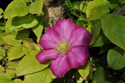 26.5 (18) (2000x1328).jpg