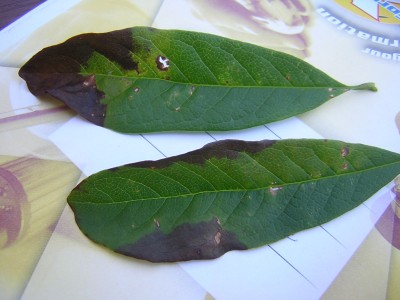 DSCN4842.JPG