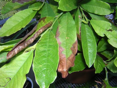 DSCN4838.JPG