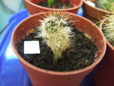 DSCF1714.JPG
