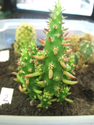 DSCF1708.JPG