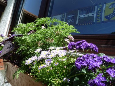 Balkon2011_3.jpg