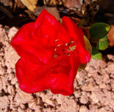 100D3128.jpg