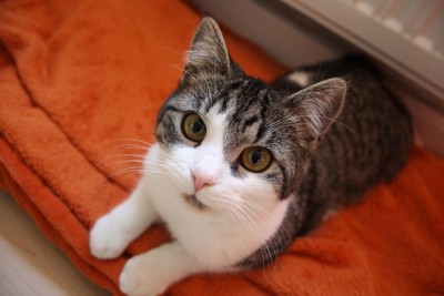 IMG_0114 - Kopie.JPG