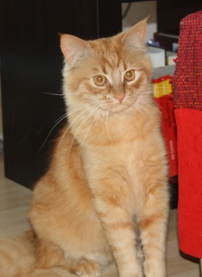 IMG_0048 - Kopie.JPG