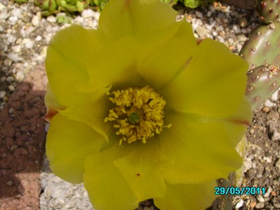 PICT2099.JPG