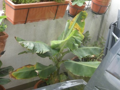 DSCN1416.JPG