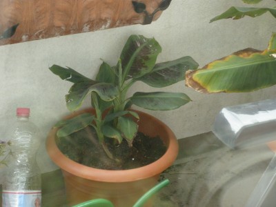 DSCN1417.JPG