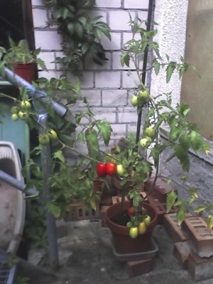 02-08-07_1623.jpg
