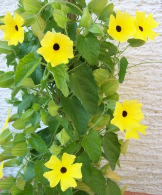 100_5777.JPG
