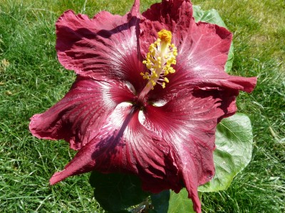 04.05.11 006.JPG