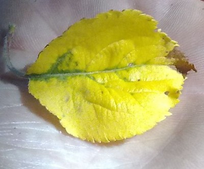 Bild0199.jpg