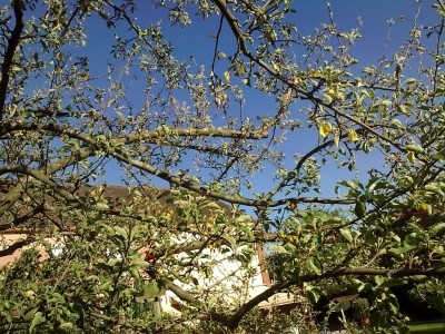 Bild0198.jpg