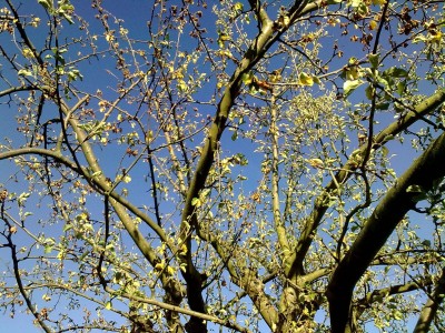 Bild0197.jpg