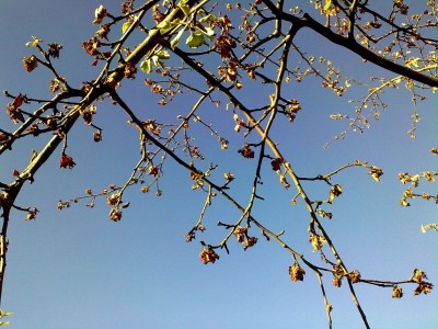 Bild0196.jpg