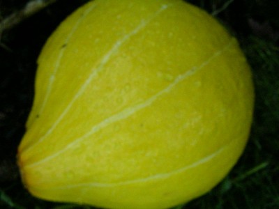 obst 002.JPG