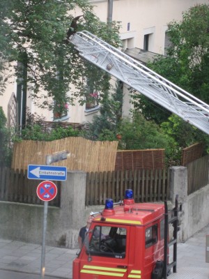 IMG_1559.JPG