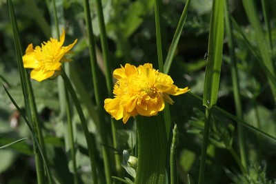 IMG_7438.JPG