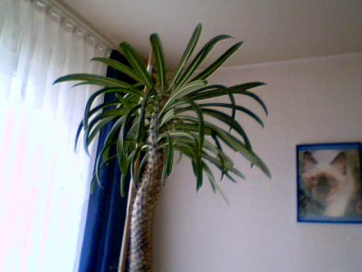 2011-05-28 11-14-42.719.jpg